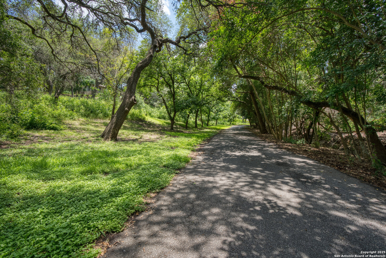 5351 Fredericksburg San Antonio TX 78229