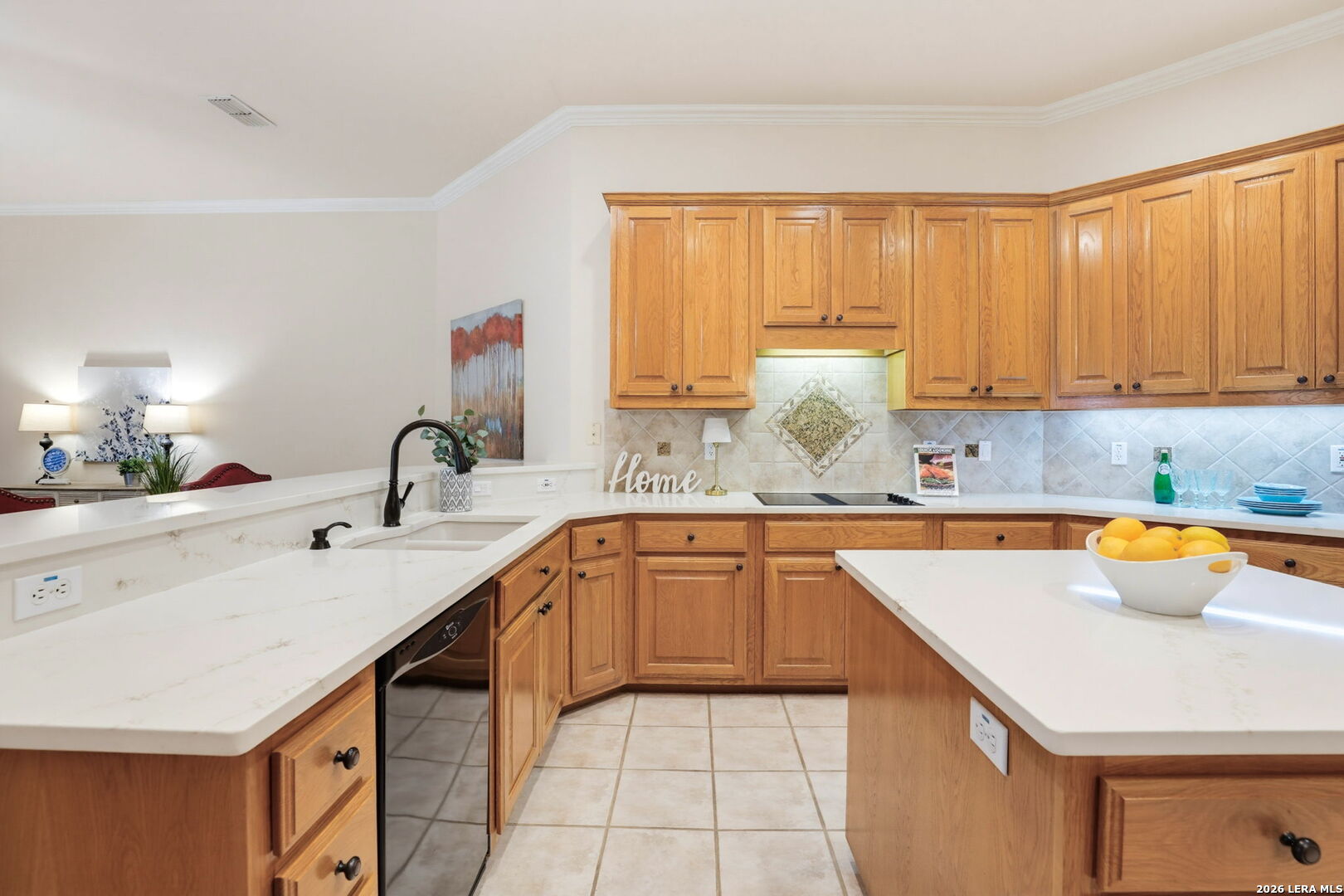 20914 Cactus Loop San Antonio TX 78258