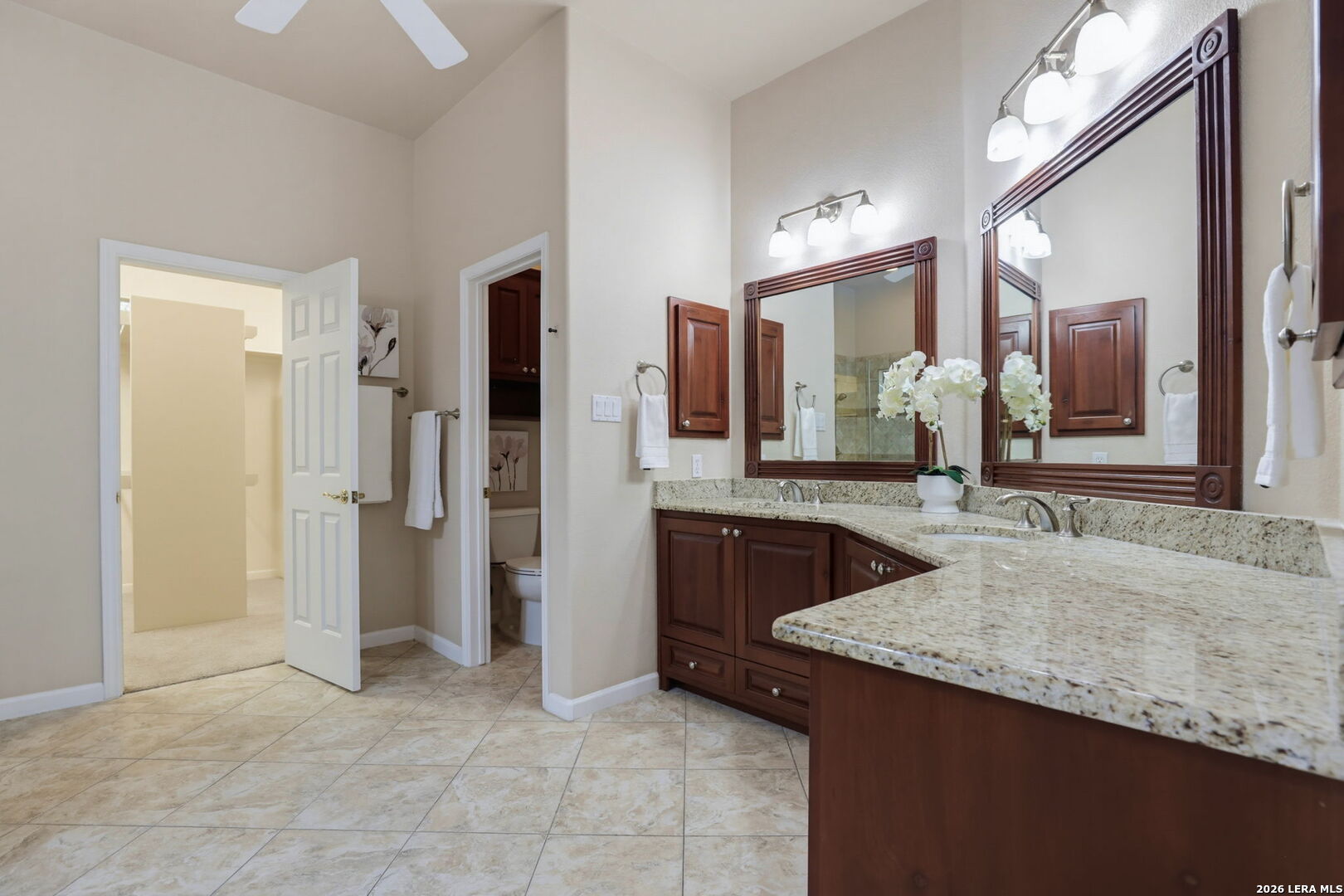 20914 Cactus Loop San Antonio TX 78258