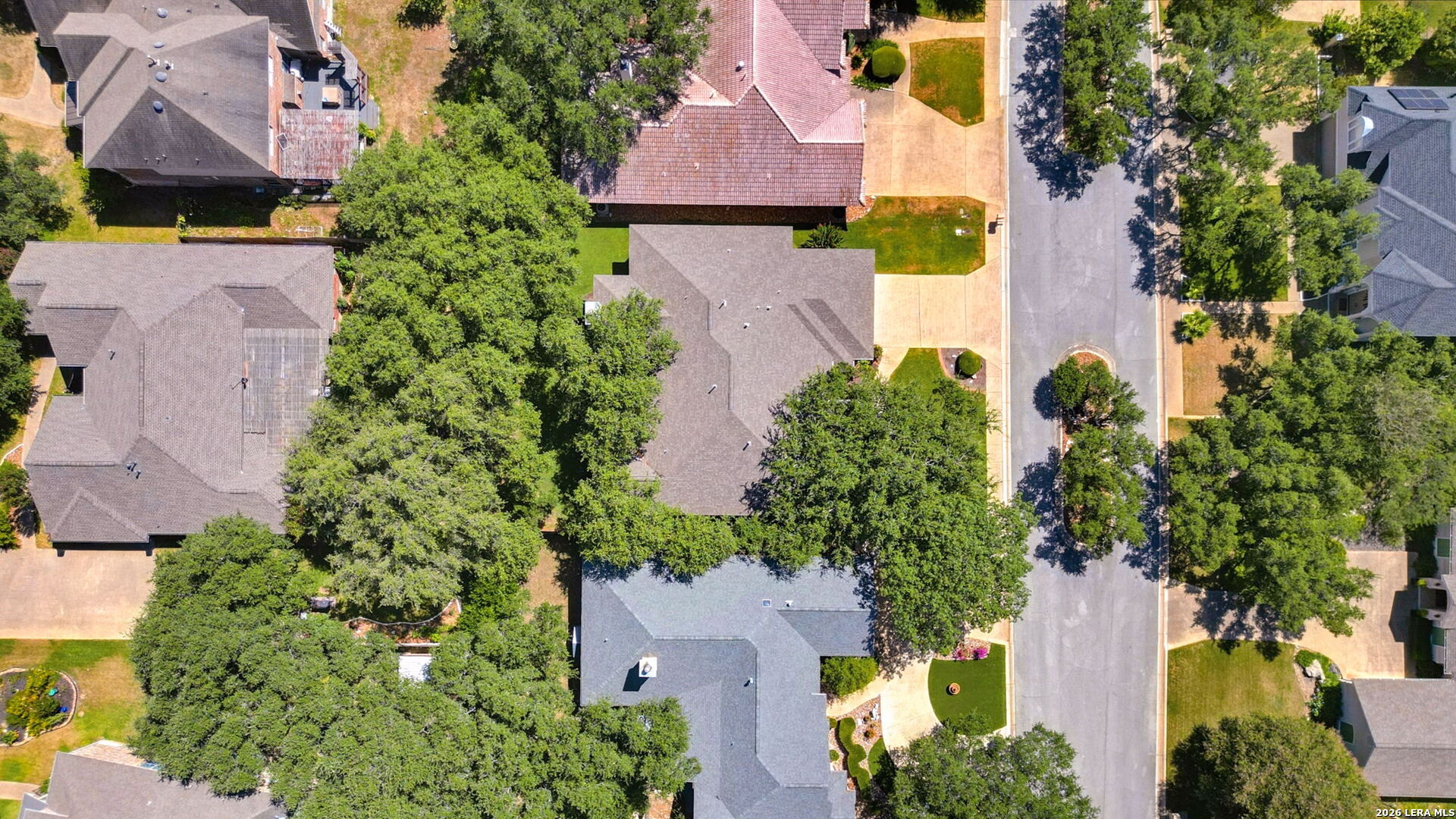 20914 Cactus Loop San Antonio TX 78258