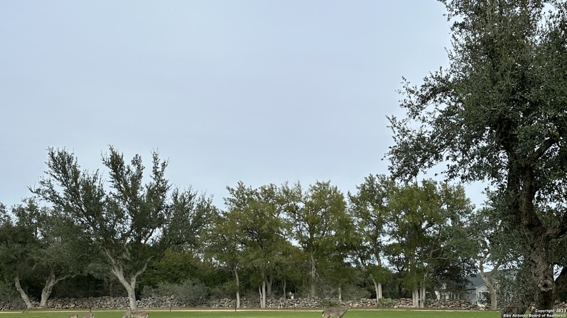 527 S Calvin Barrett Blanco TX 78606