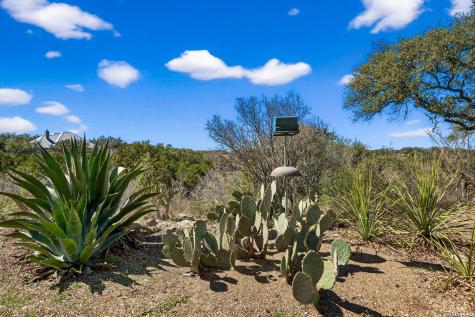 1017 Star Ridge Spring Branch TX 78070