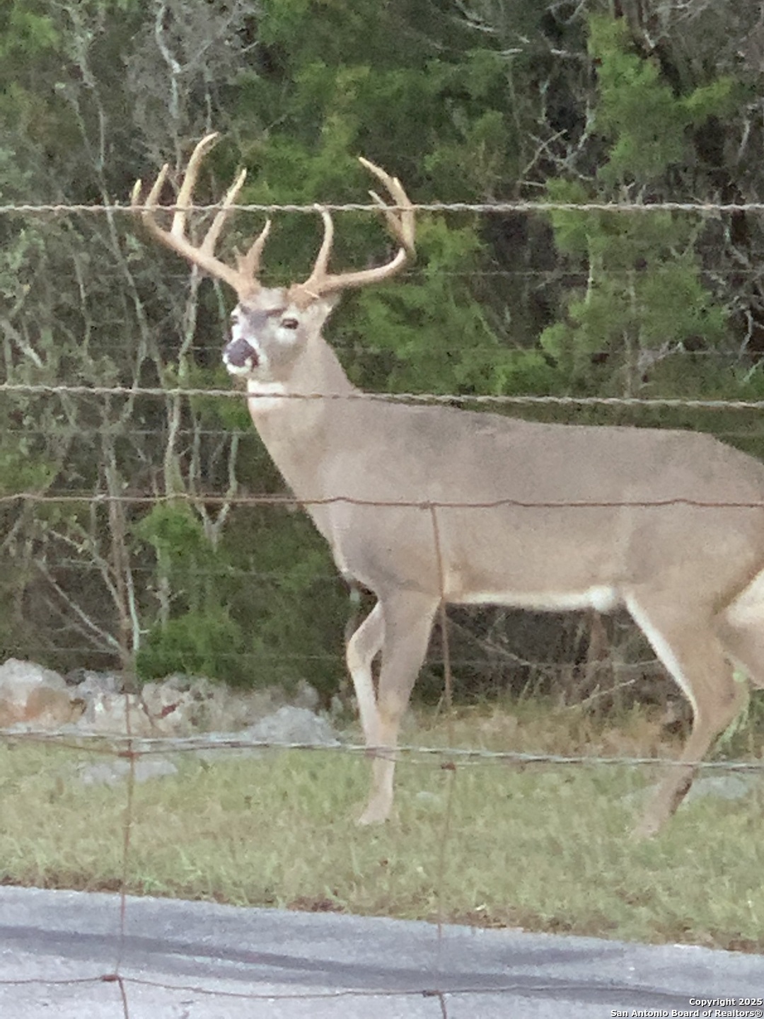 29746 Fm 3009 New Braunfels TX 78132