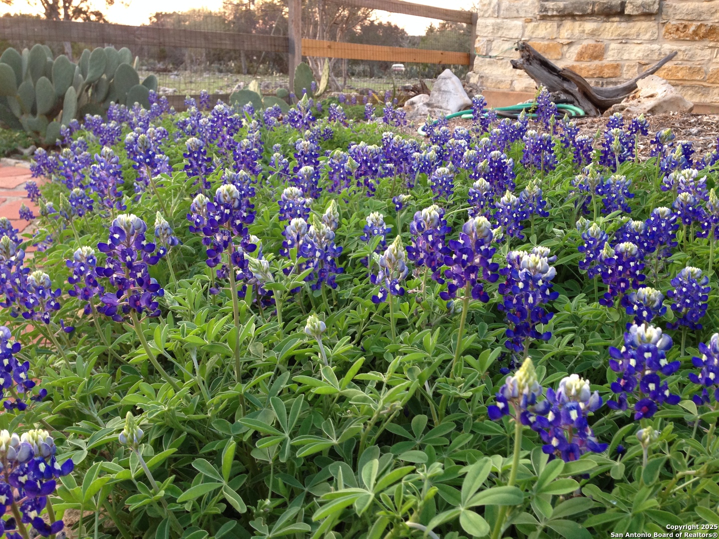 29746 Fm 3009 New Braunfels TX 78132