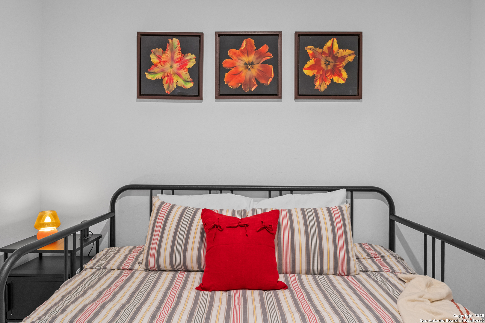 1307 Flame Tanager San Antonio TX 78245