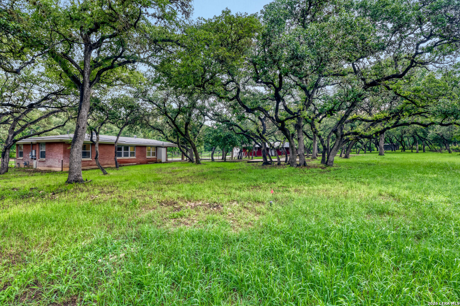111 Wisteria San Antonio TX 78213