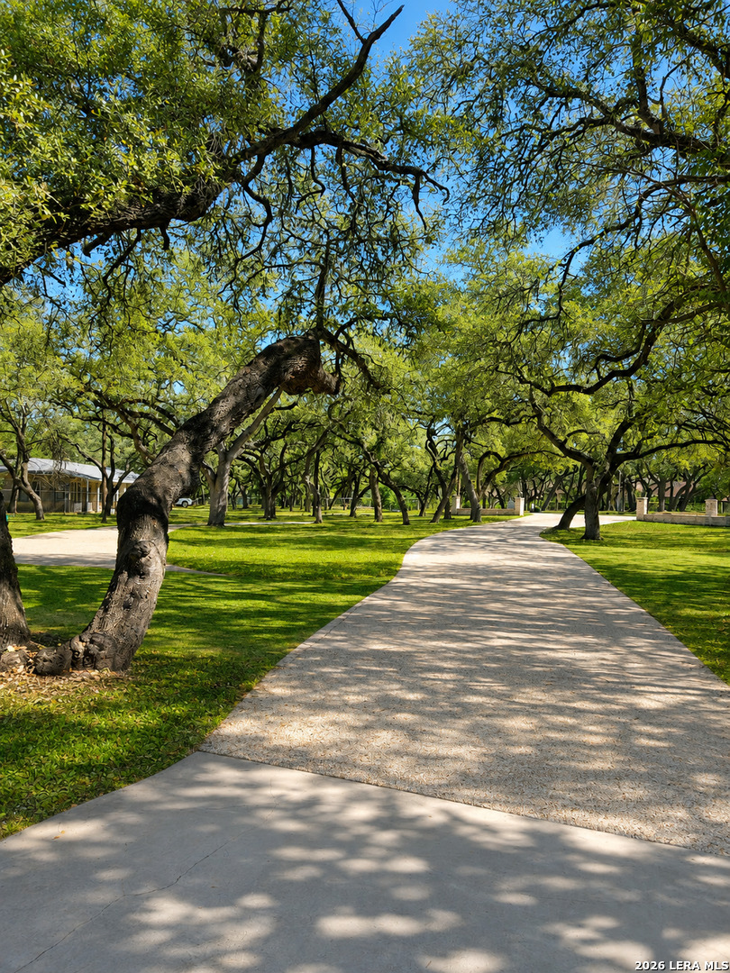 111 Wisteria San Antonio TX 78213