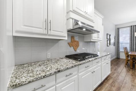 24845 Marcia View San Antonio TX 78261