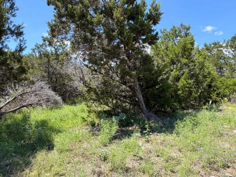 1841 Canyon Lake Drive Canyon Lake TX 78133