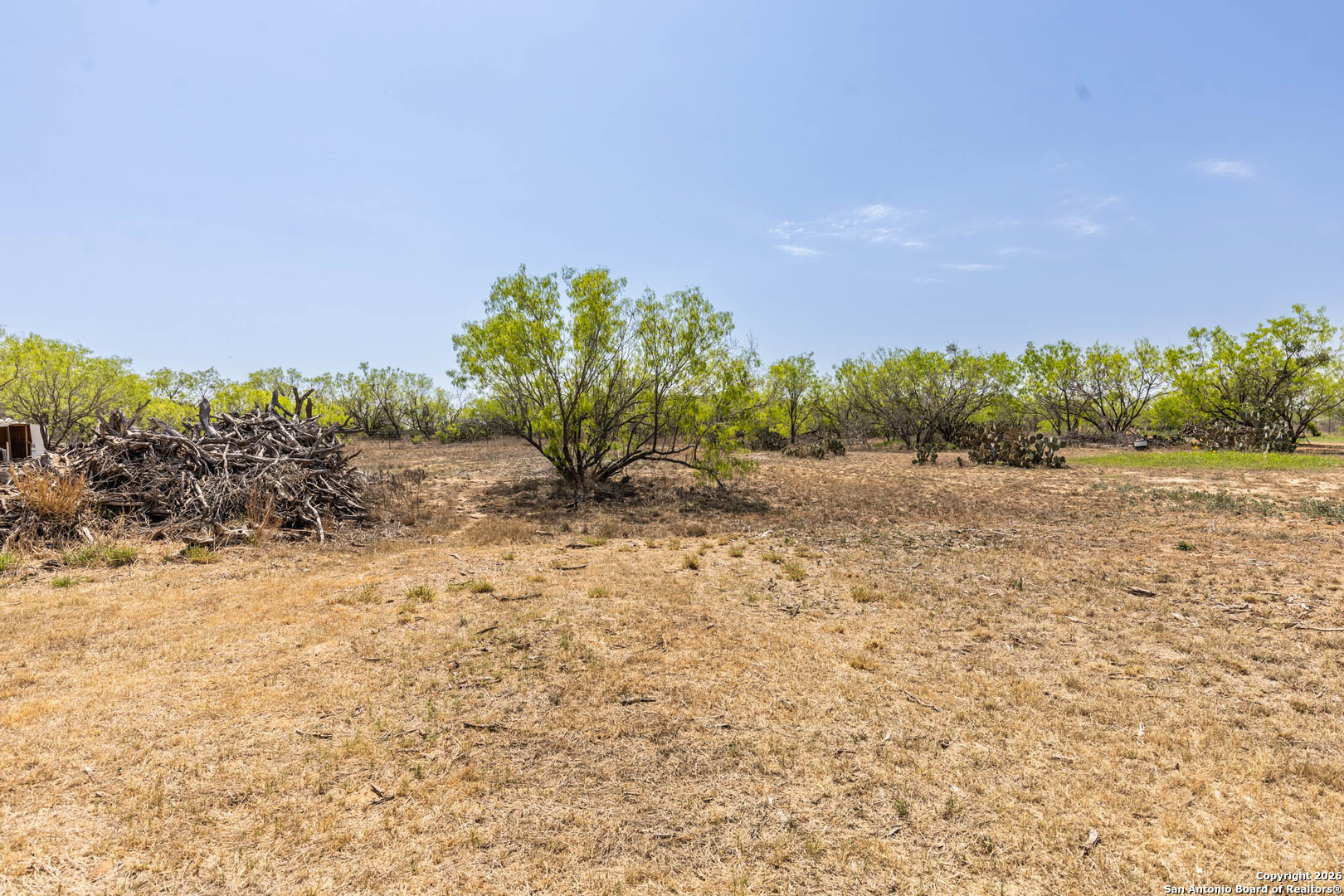 181 Viridian View Pleasanton TX 78064