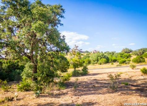 523 Rio Ridge Parkway Spring Branch TX 78070