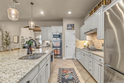 28938 Fairs Gate Fair Oaks Ranch TX 78015