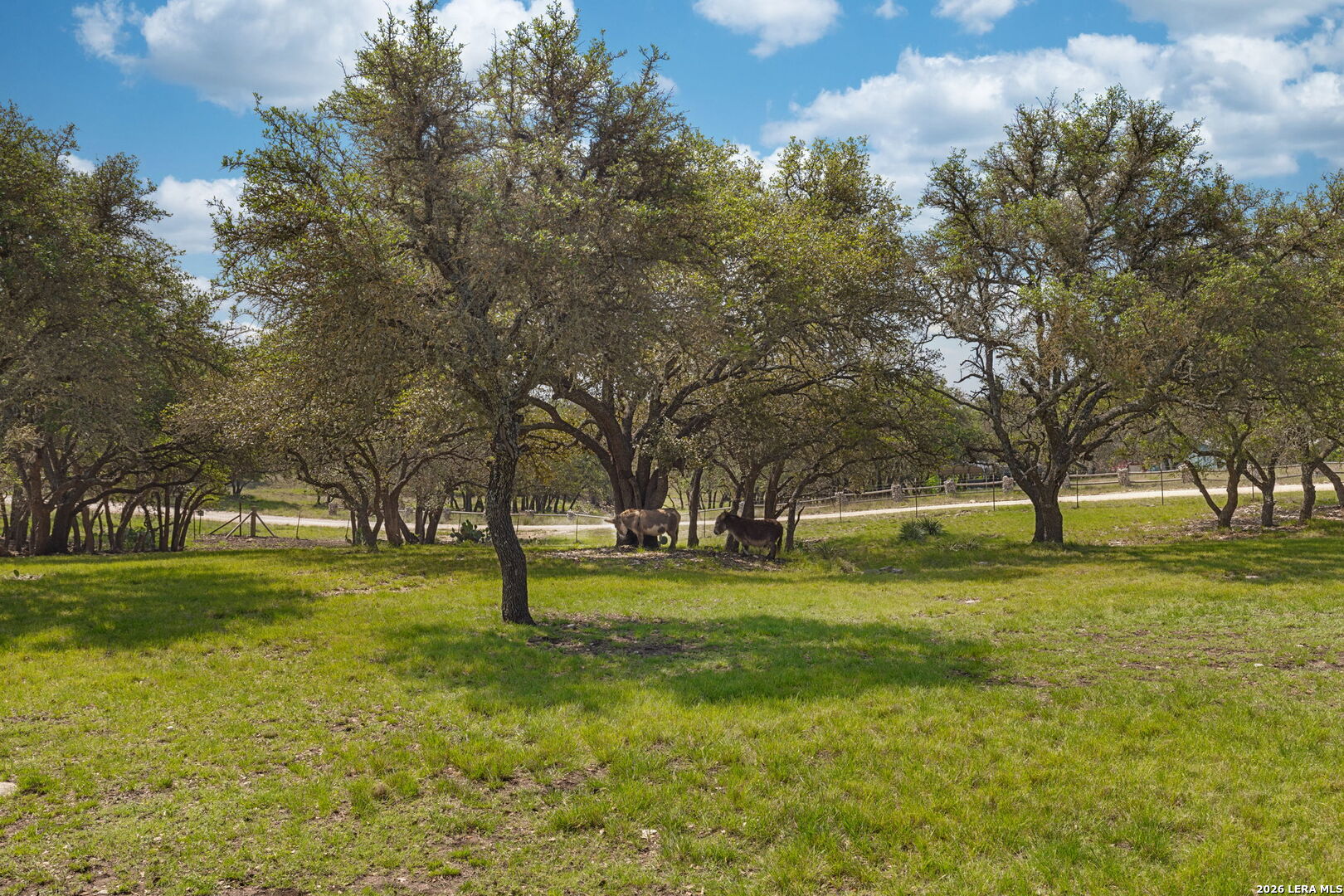 222 Spanish Oak Trail Harper TX 78631