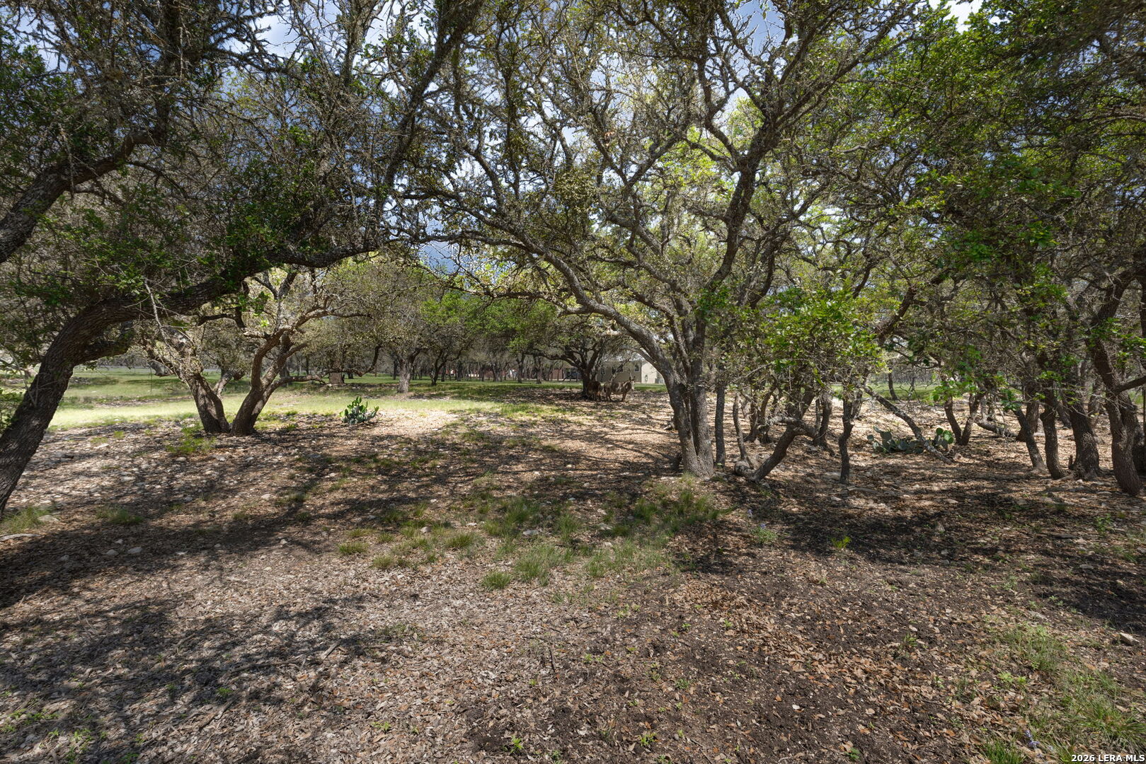 222 Spanish Oak Trail Harper TX 78631