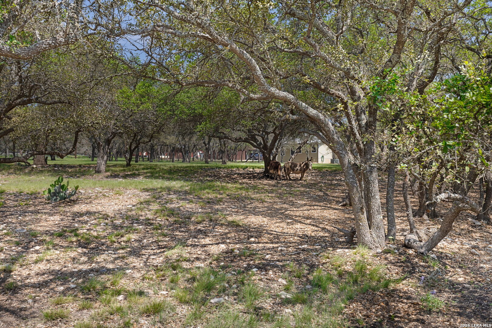 222 Spanish Oak Trail Harper TX 78631