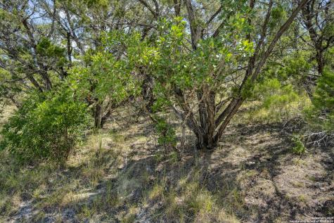 305 Spanish Pass Boerne TX 78006