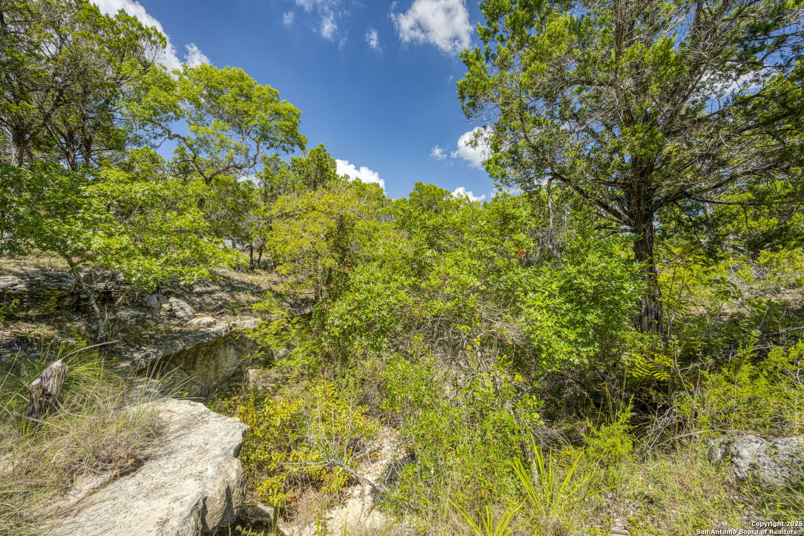 305 Spanish Pass Boerne TX 78006