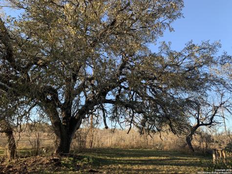 380 Private Road 4619 Castroville TX 78009