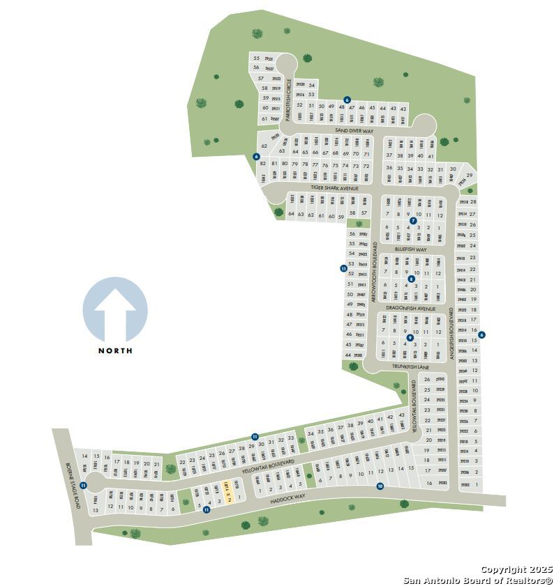 10419 Dragonfish Avenue Boerne TX 78006