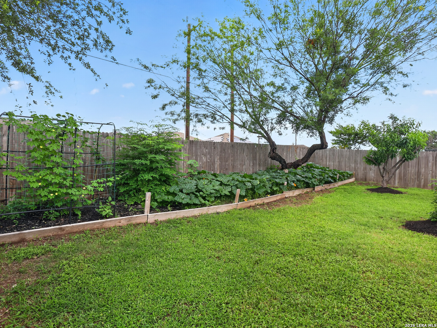8351 Angelina Parke San Antonio TX 78254