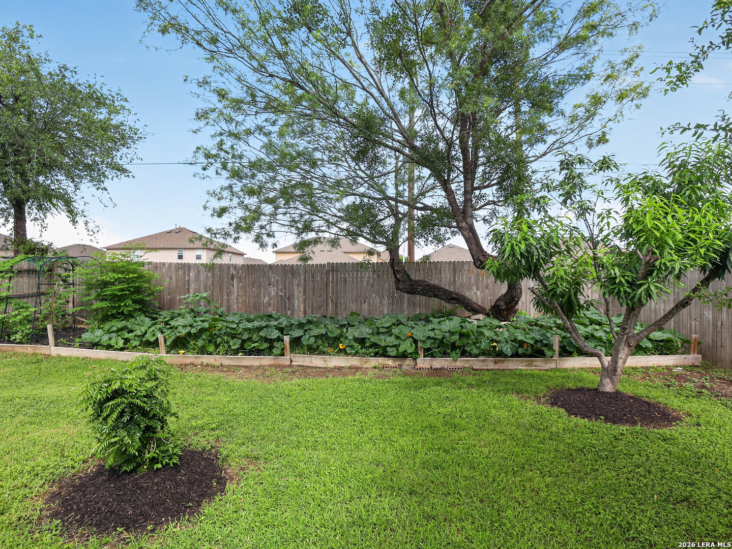 8351 Angelina Parke San Antonio TX 78254