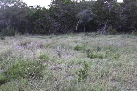 2041 Fuller Drive Canyon Lake TX 78133
