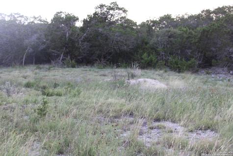 2041 Fuller Drive Canyon Lake TX 78133