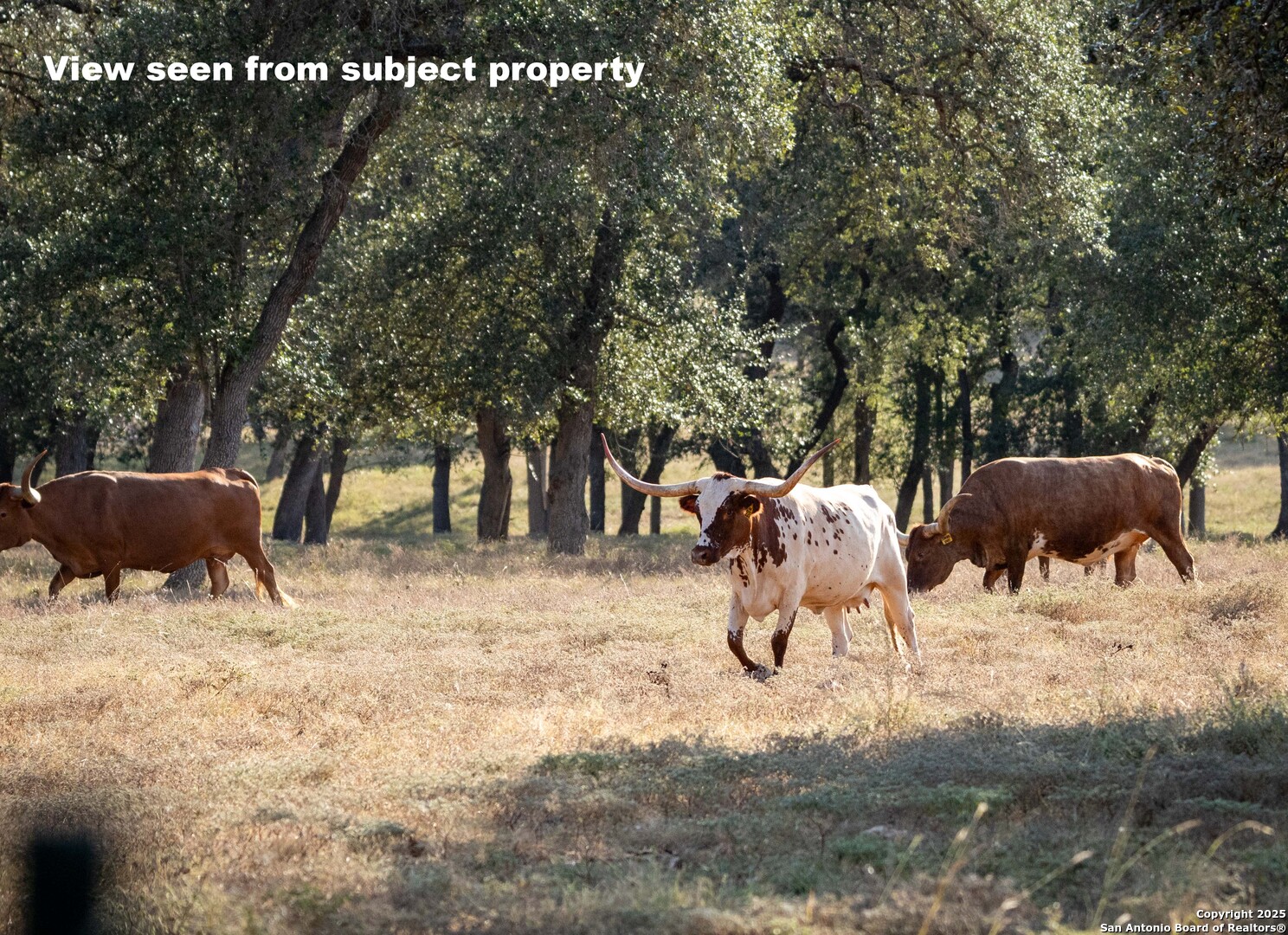 27919 Bogen New Braunfels TX 78132