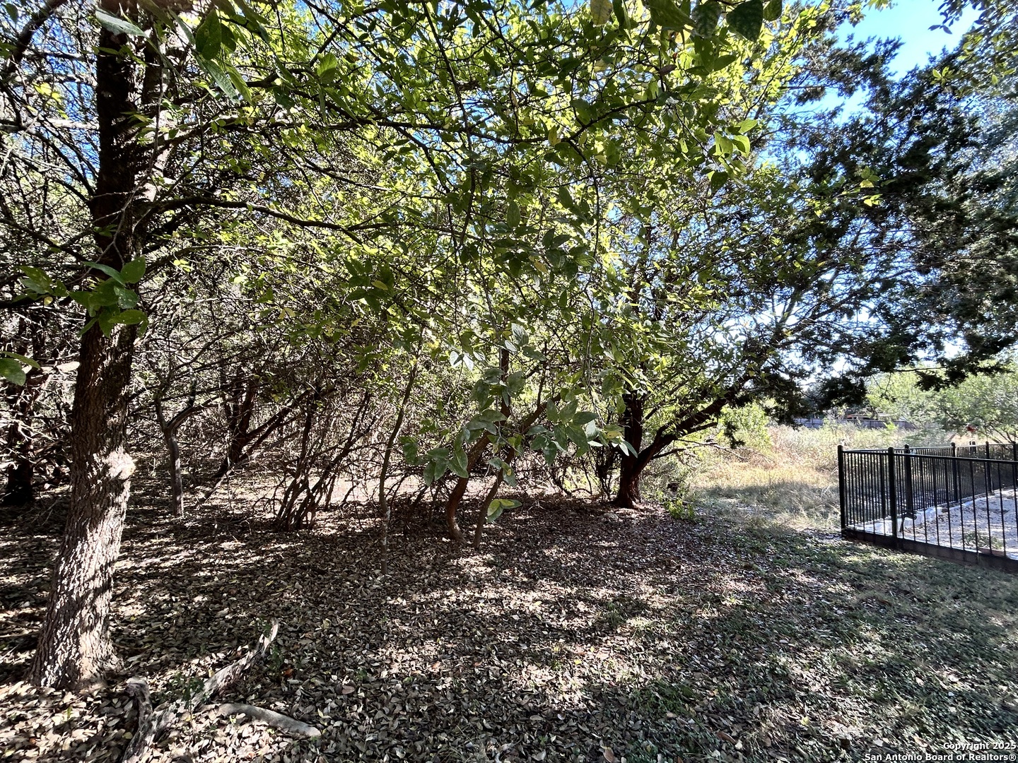 12731 Cascade Hills San Antonio TX 78253