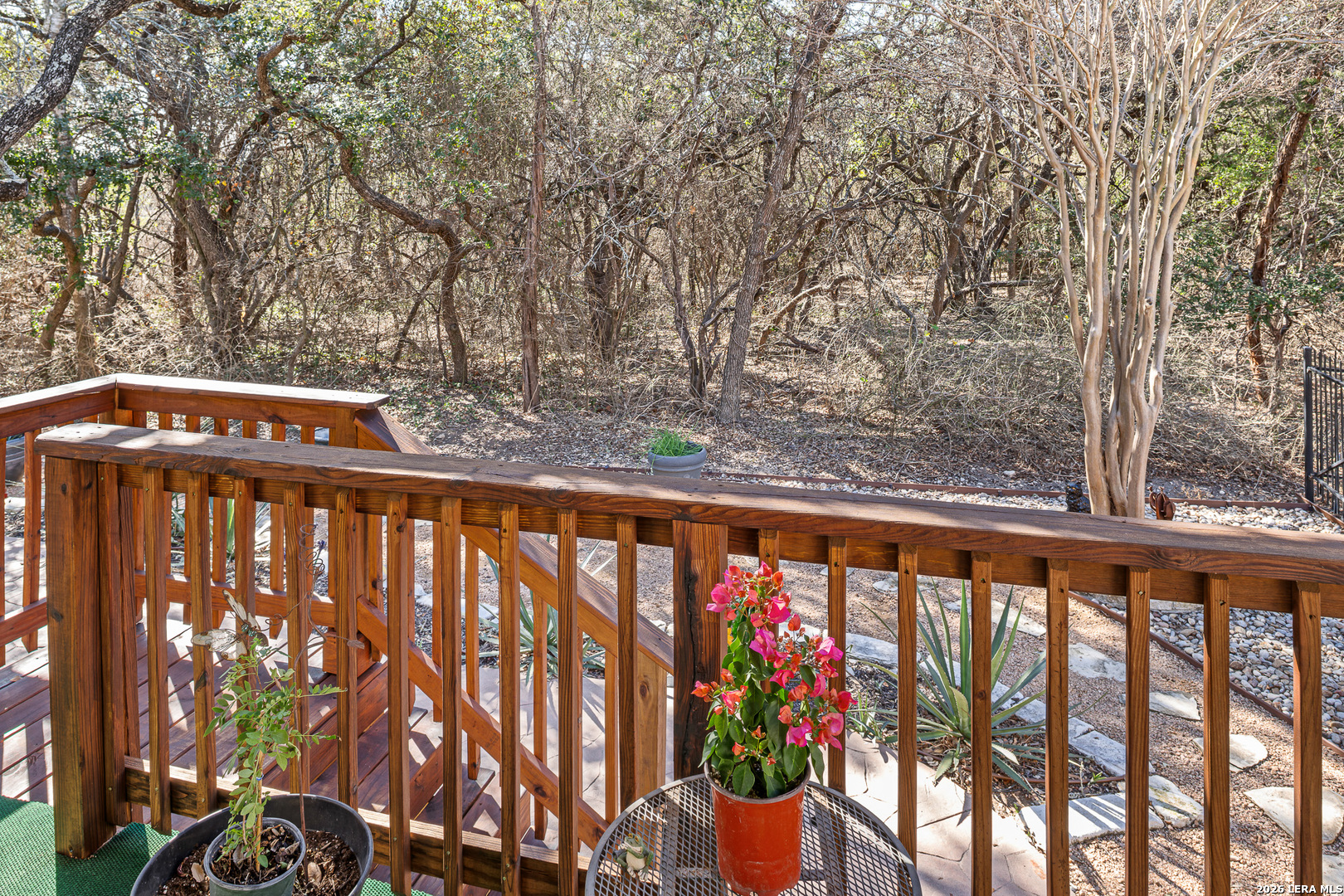 12606 Desert Palm San Antonio TX 78253