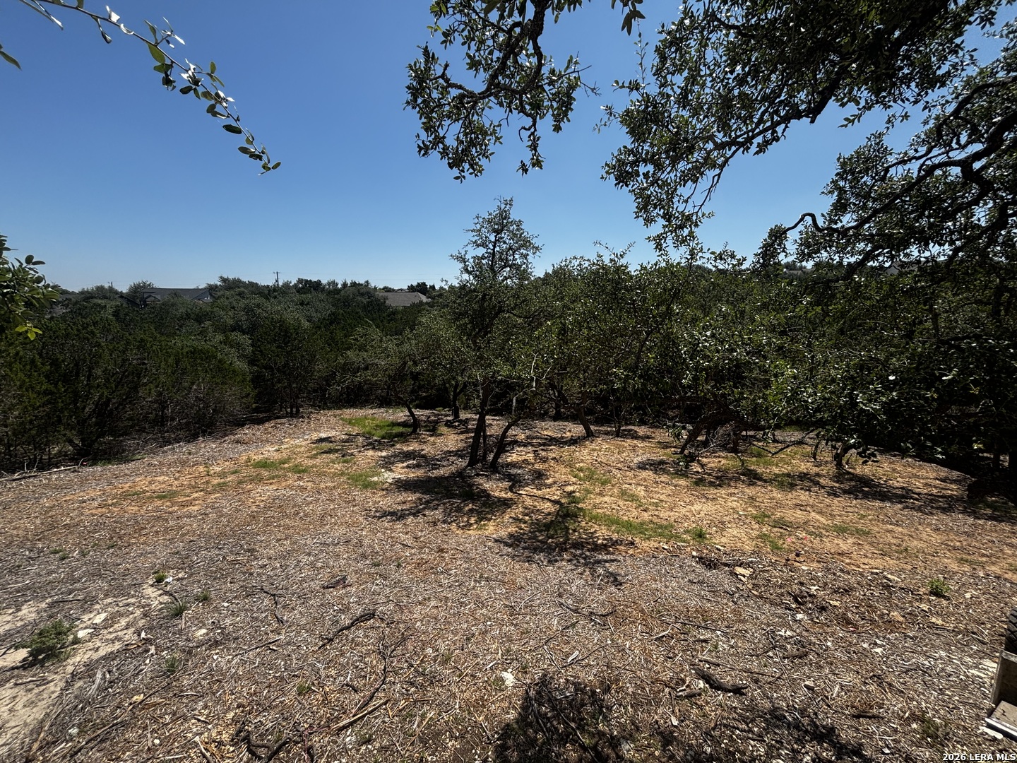 1197 Spice Wood Road Fischer TX 78623