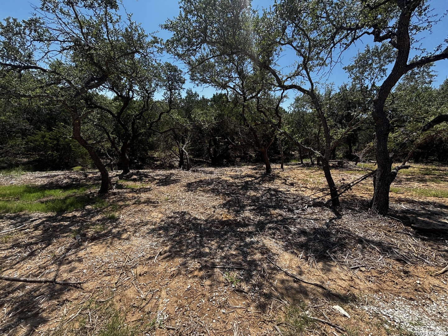 1197 Spice Wood Road Fischer TX 78623