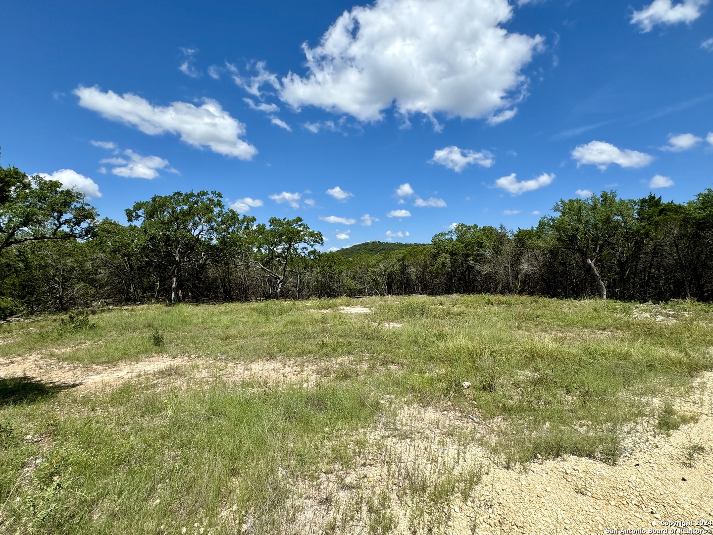 Lot 264 Pr 1709 Mico TX 78056
