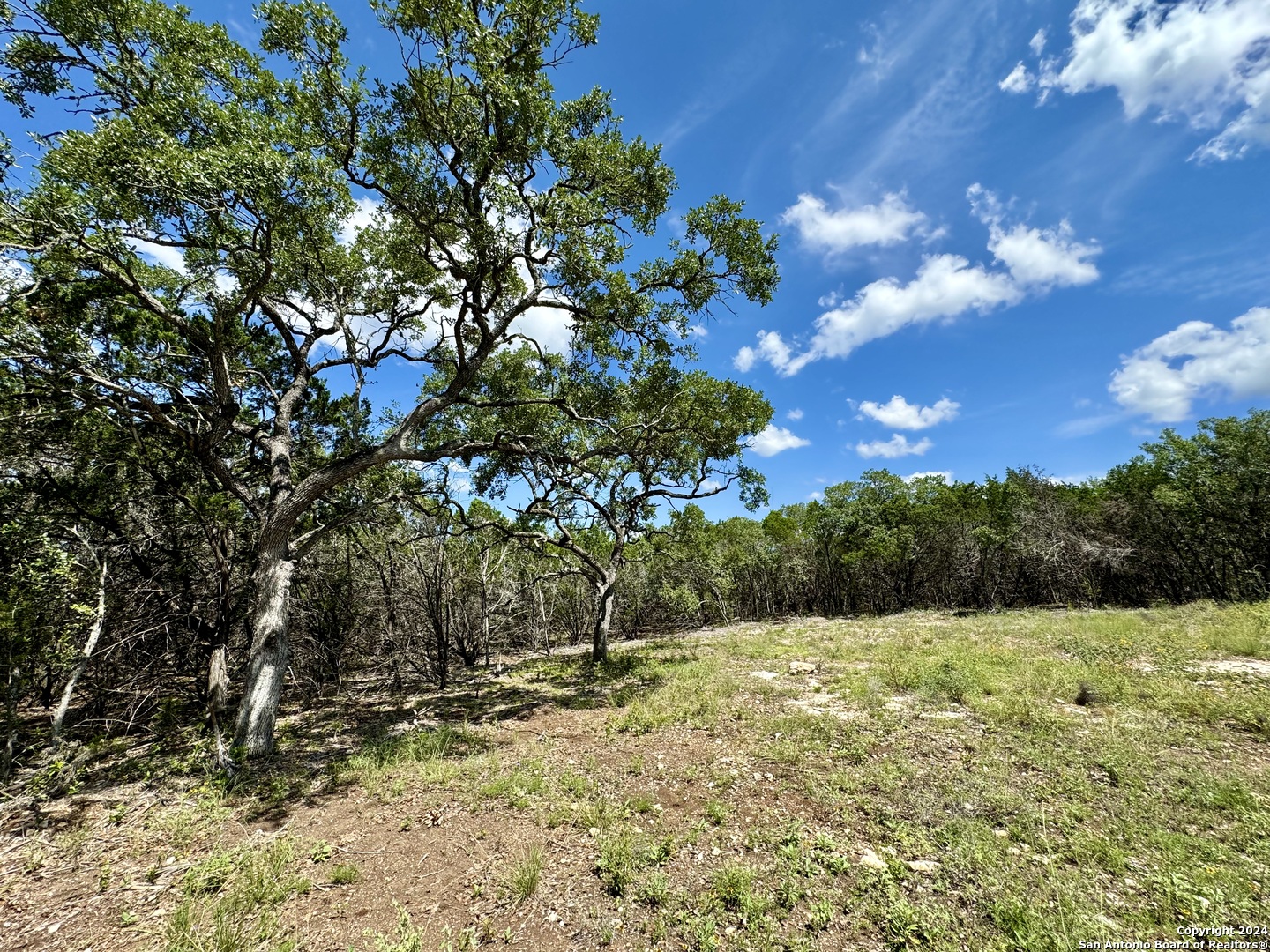 Lot 264 Pr 1709 Mico TX 78056