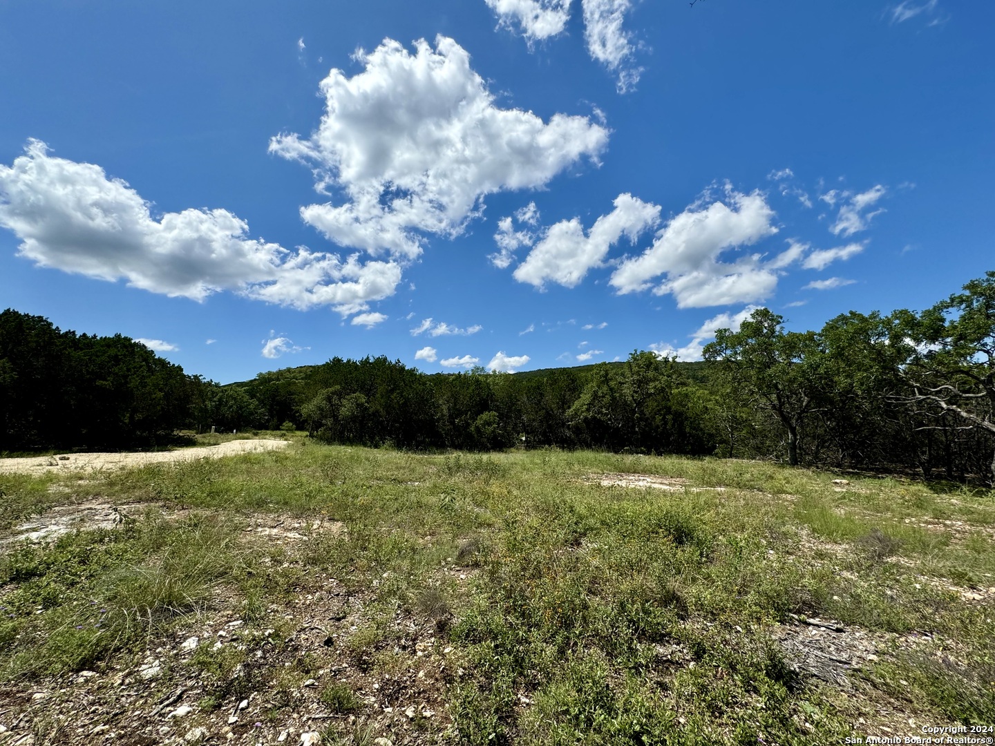 Lot 264 Pr 1709 Mico TX 78056