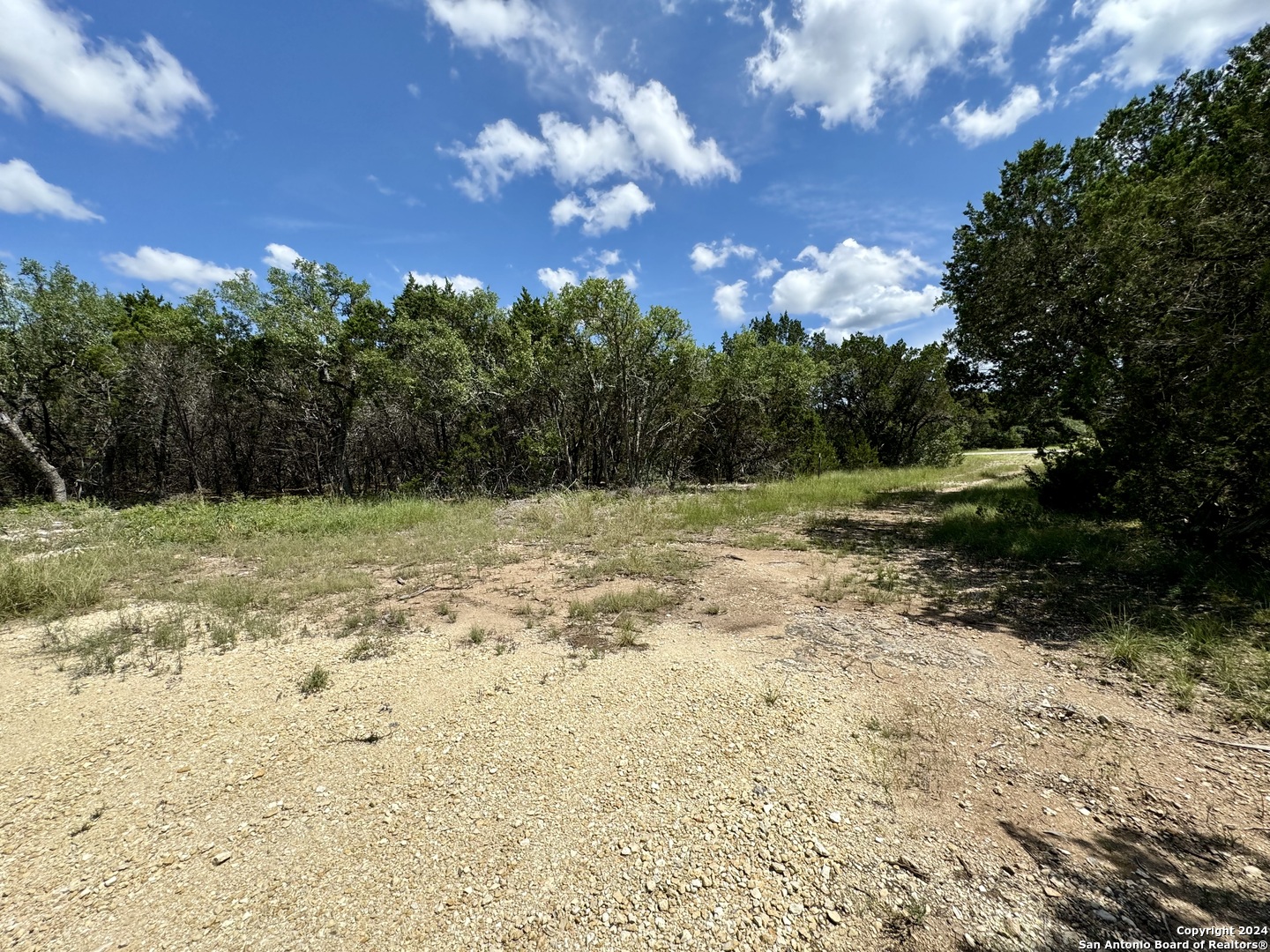 Lot 264 Pr 1709 Mico TX 78056