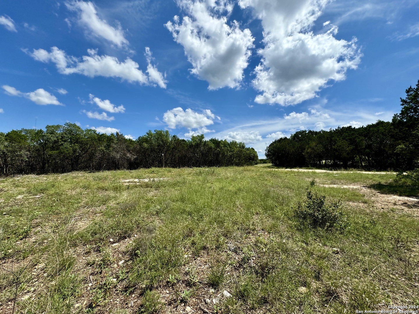 Lot 264 Pr 1709 Mico TX 78056