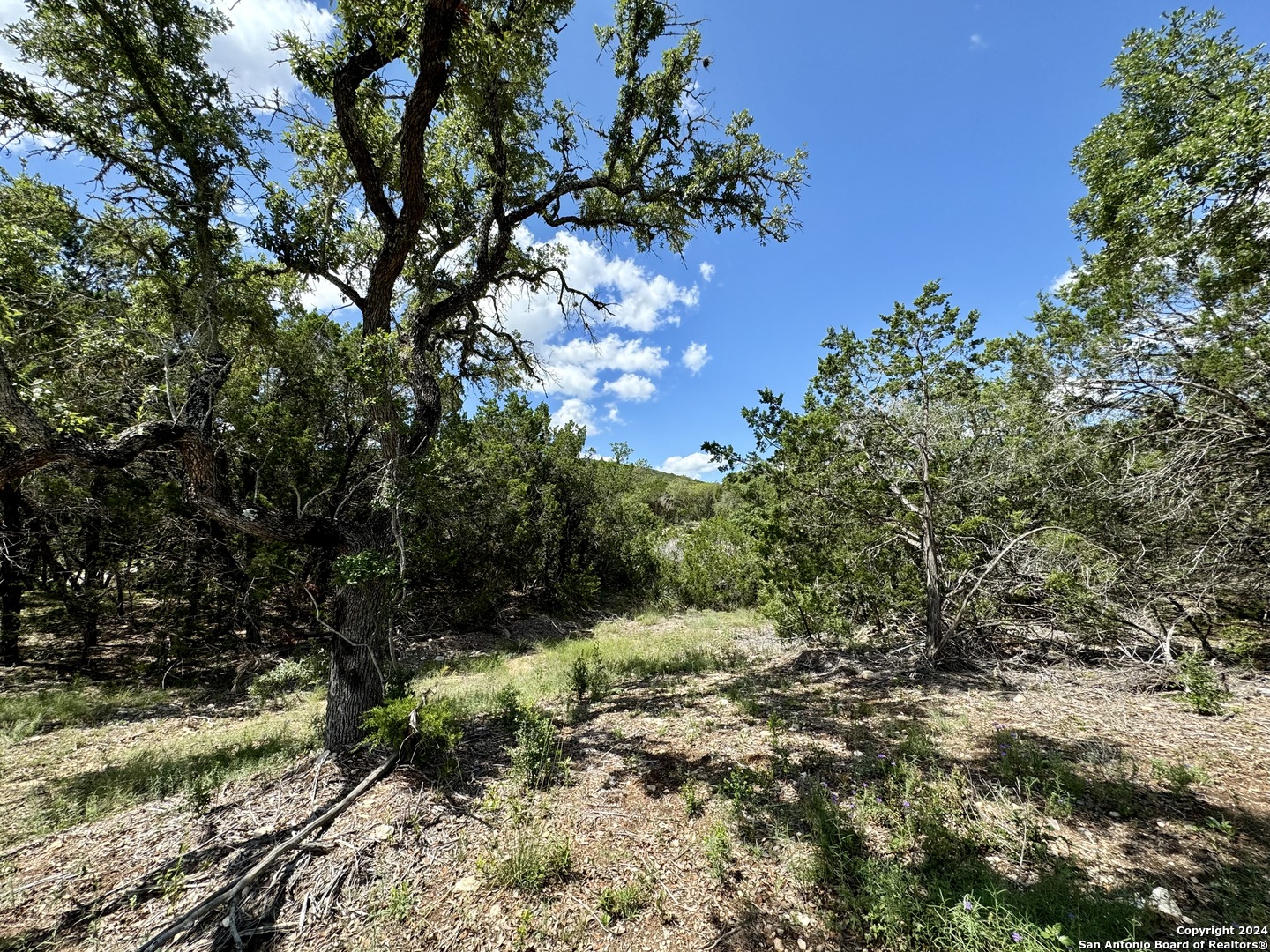 Lot 264 Pr 1709 Mico TX 78056