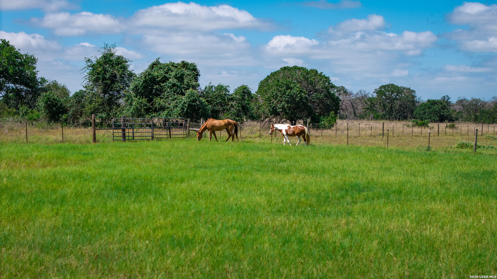 247 S Palo Alto Floresville TX 78114