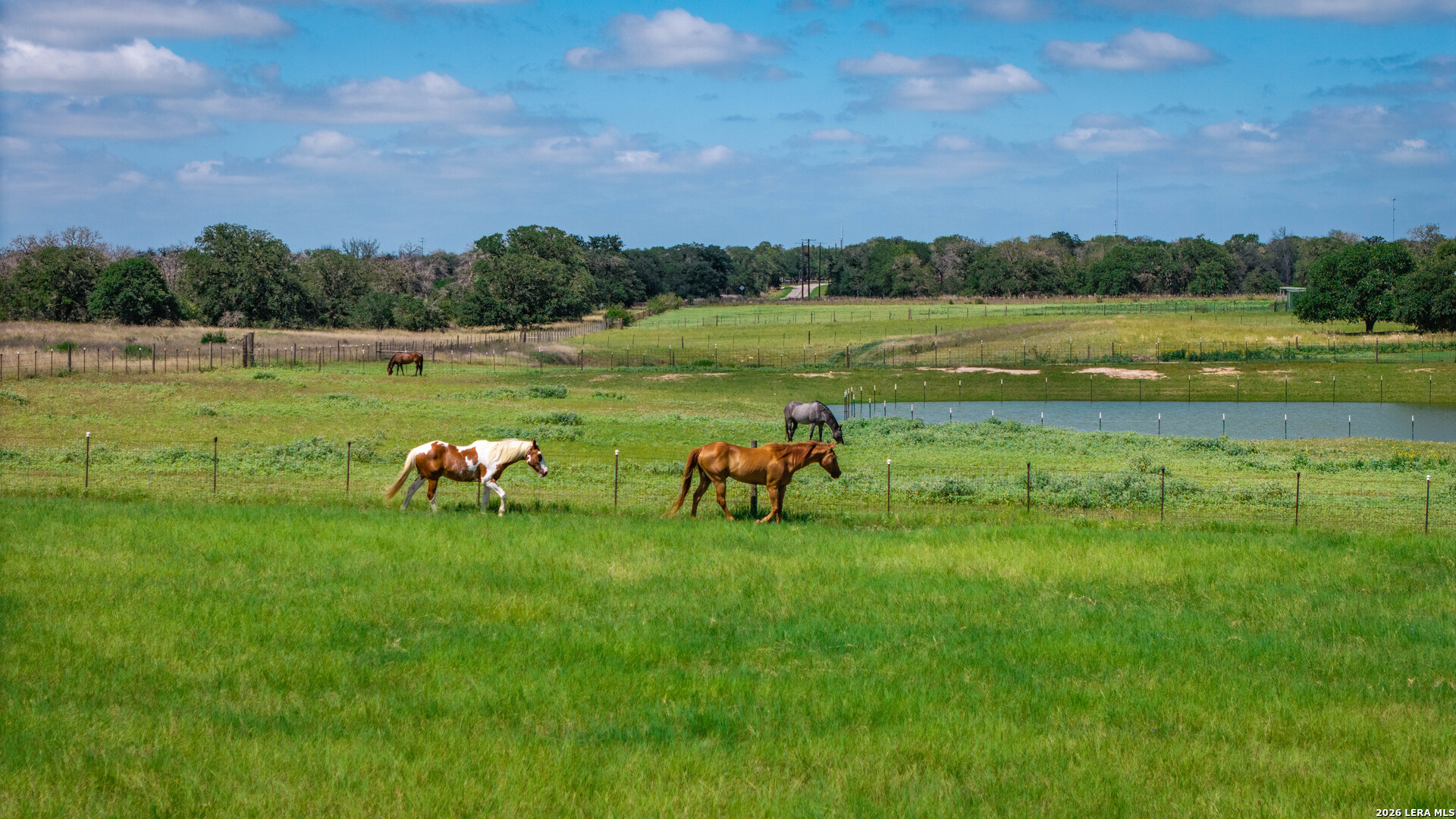 247 S Palo Alto Floresville TX 78114