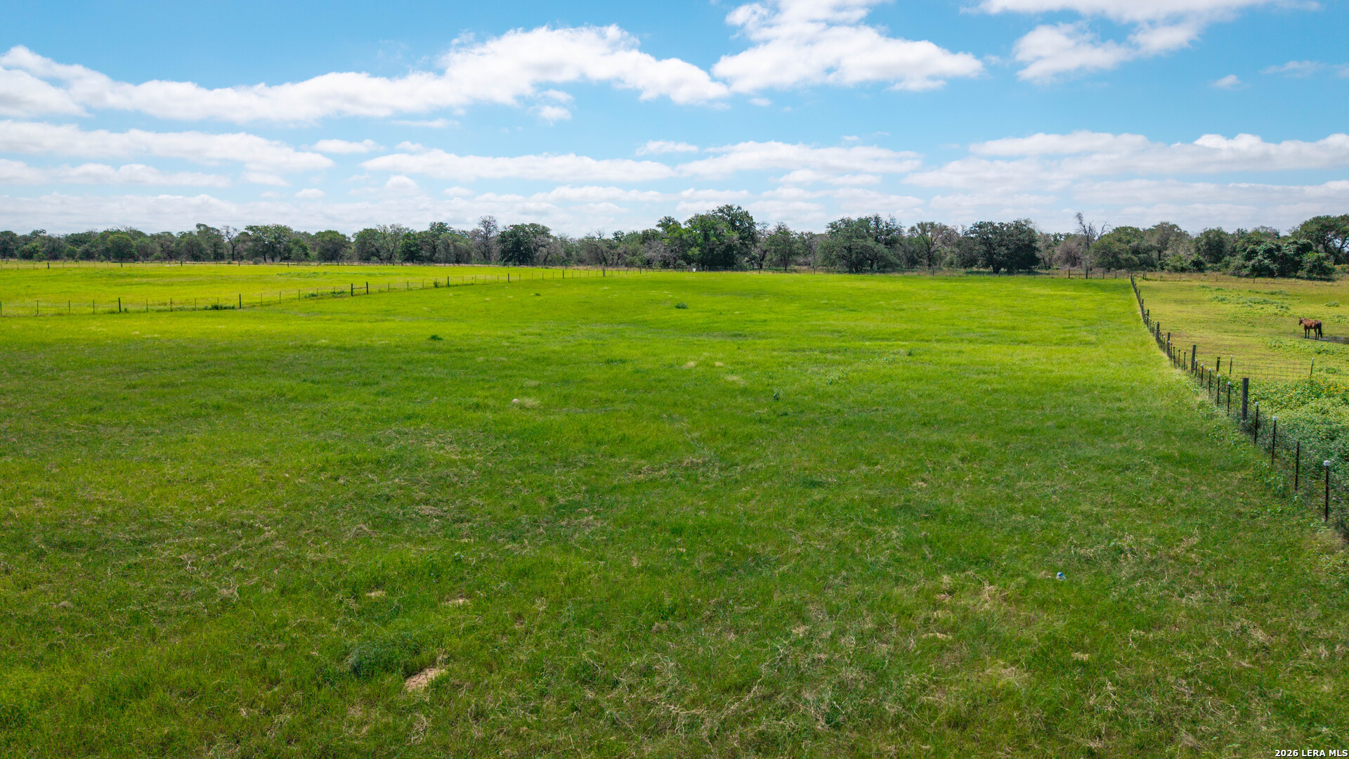 247 S Palo Alto Floresville TX 78114