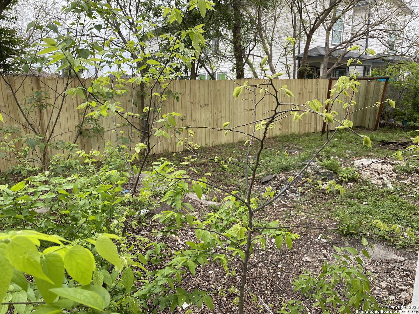 305 Spruce Street San Antonio TX 78203