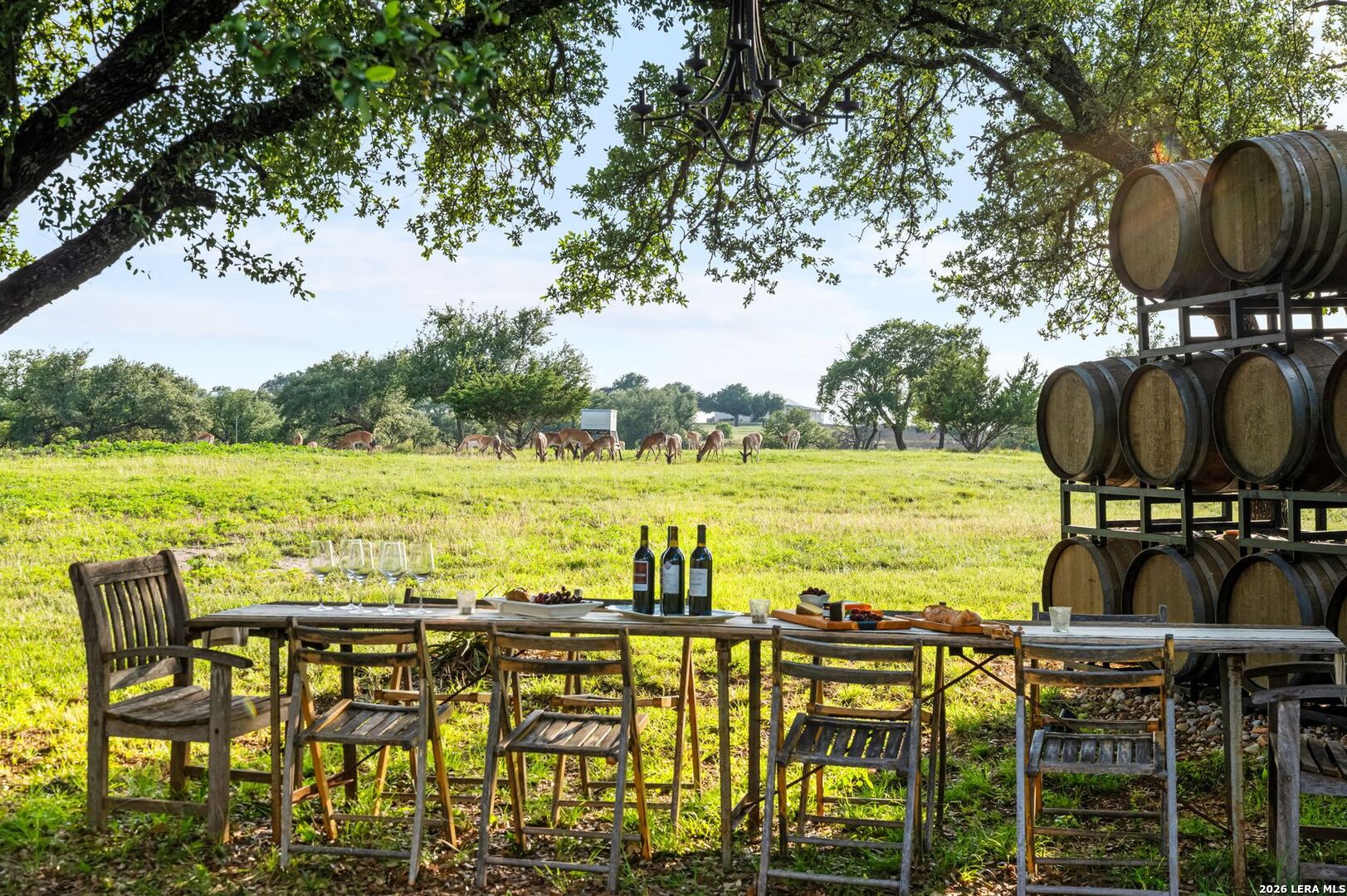 2009 Axis Circle Fredericksburg TX 78624