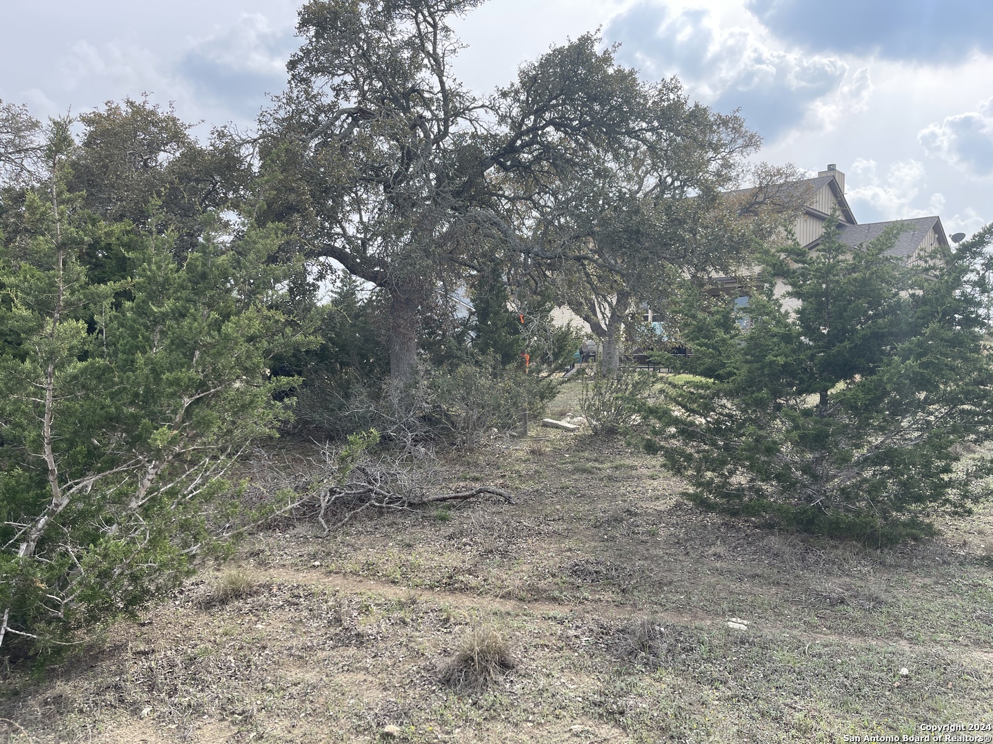 113 William Woods Blanco TX 78606