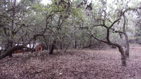 Lot 46 Mountain Wood Canyon Lake TX 78133