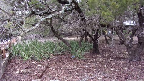 Lot 46 Mountain Wood Canyon Lake TX 78133