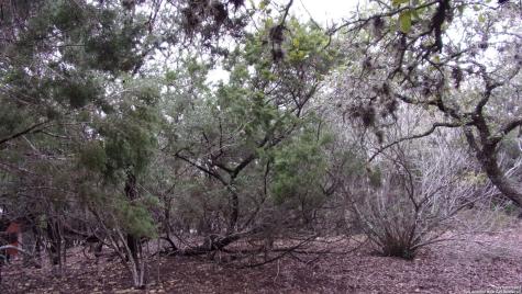 Lot 46 Mountain Wood Canyon Lake TX 78133