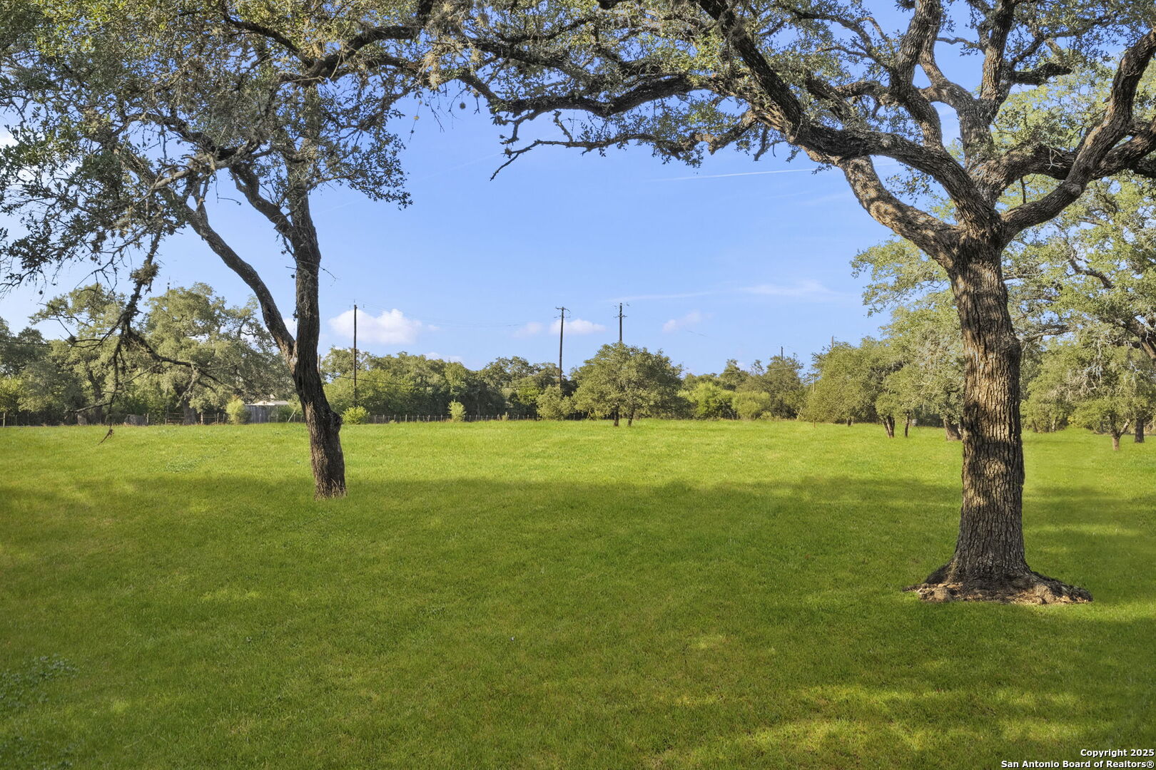 22050 Hanging Oak San Antonio TX 78266