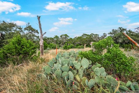 1494 County Road 270 Mico TX 78056