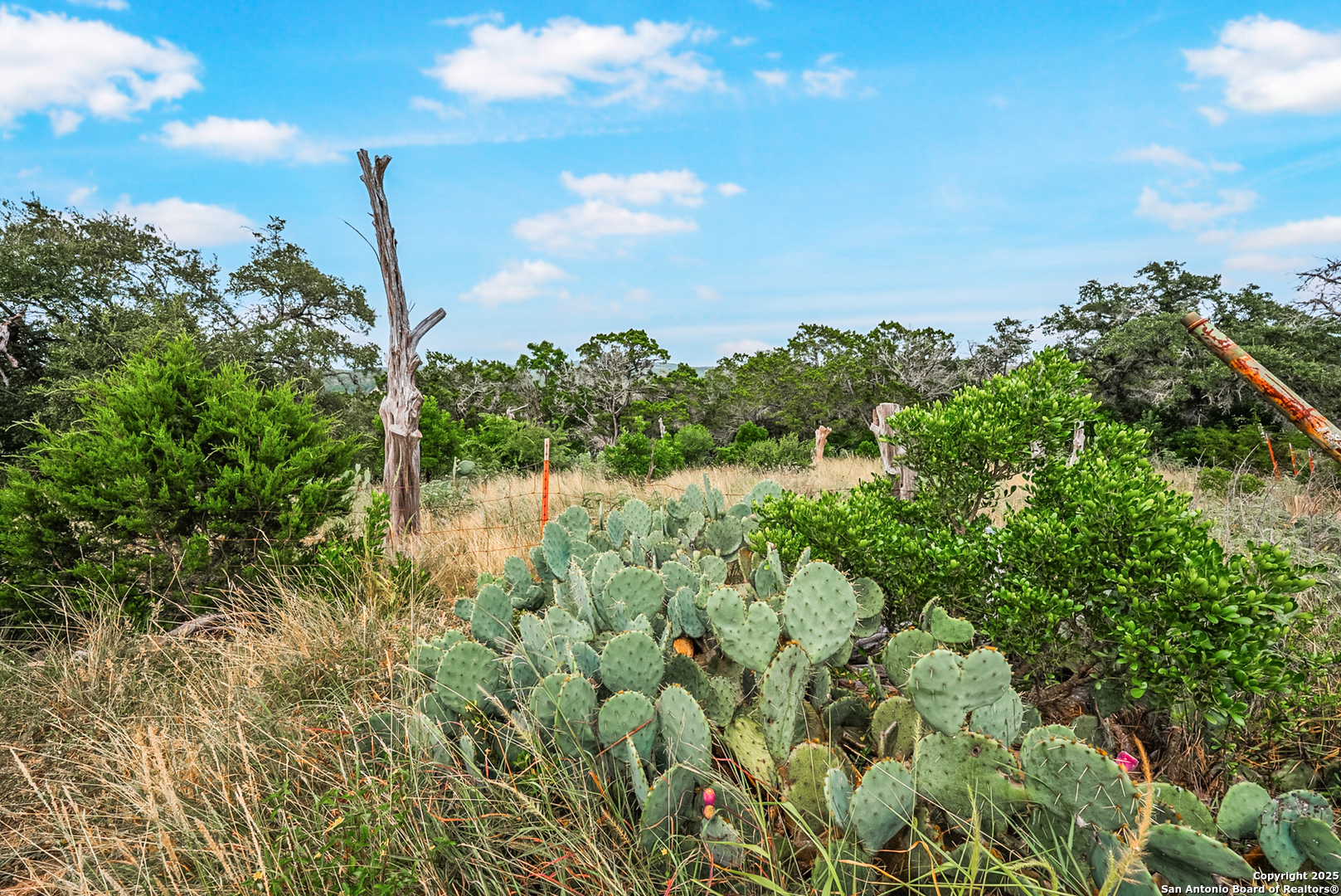 1494 County Road 270 Mico TX 78056